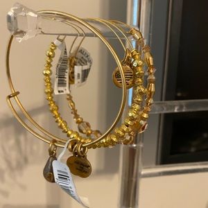 Alex & Ani gold bracelets, set of 3